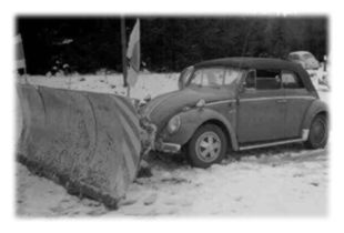 Ahnengalerie der Tauber-K&auml;fer