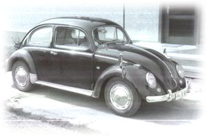 kleines K&auml;fertreffen...